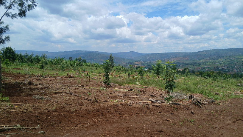 muyumbo-ntebe-plot-for-sale-big-1