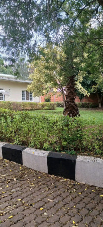 kigali-unfurnished-house-available-for-rent-in-kiyovu-big-1