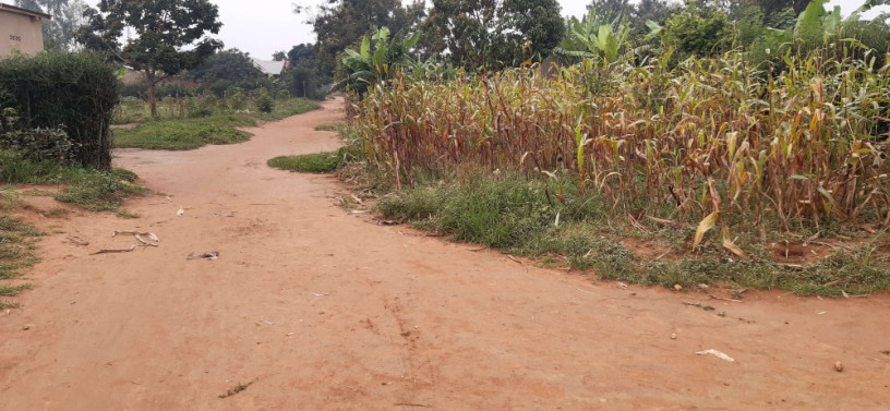 residential-plot-for-sale-in-bugesera-near-airport-hot-deal-lirima-big-1