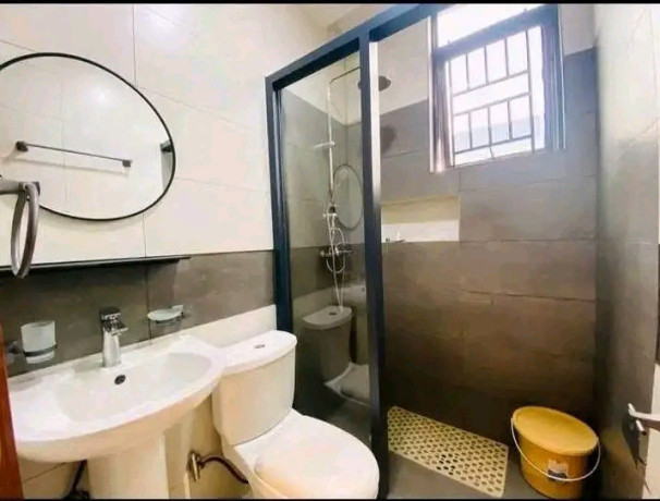 remera-apartment-for-rent-in-kigali-big-1