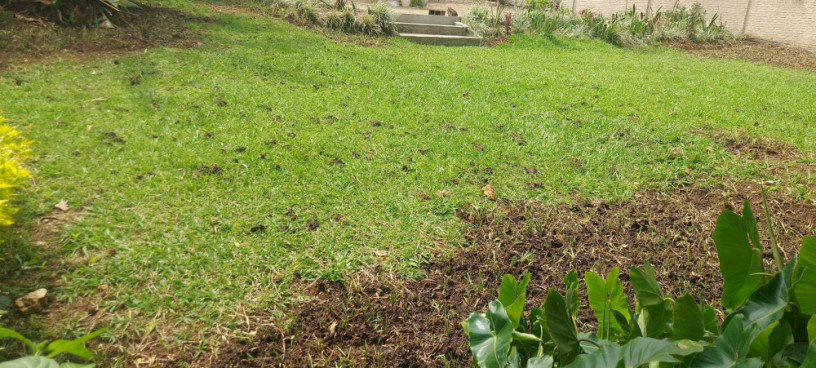 kigali-family-villa-available-for-rent-in-nyarutarama-big-5