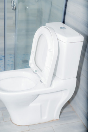 tb-006-kibagabaga-kibagabaga-nice-furnished-house-for-rent-big-12