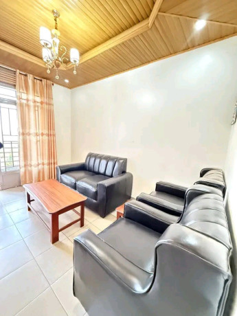 remera-fully-furnished-apartment-for-rent-in-kigali-big-5