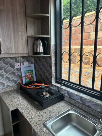 kimironko-furnished-apartment-for-rent-1bed-1bath-big-10