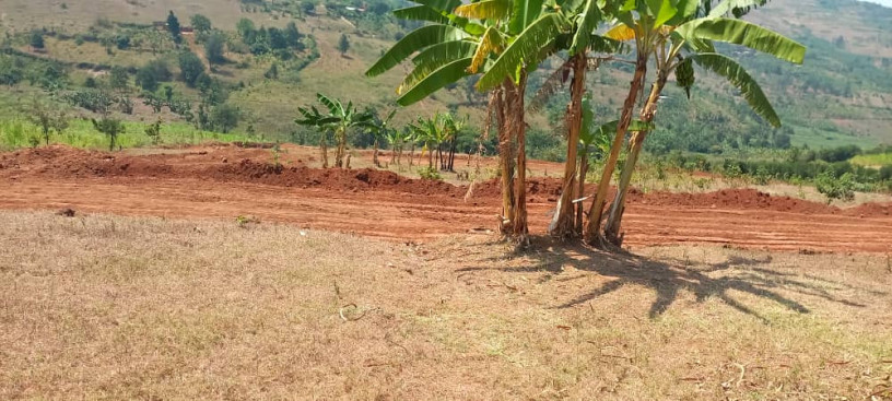 mukuyu-ndera-plot-for-sale-big-2