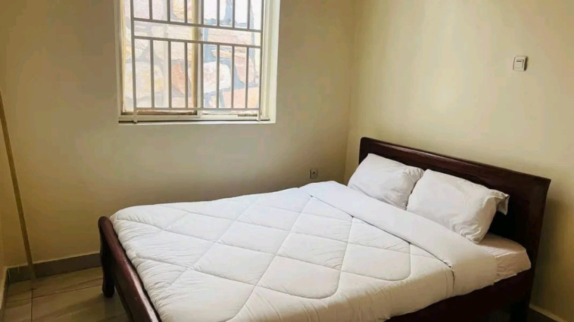 gishushu-near-lemigo-hotel-furnished-house-for-rent-big-5