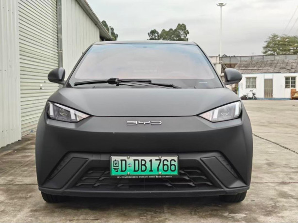 byd-big-1