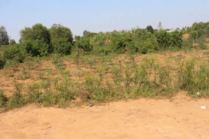residential-plot-for-sale-in-bugesera-near-airport-hot-deal-juru-big-2