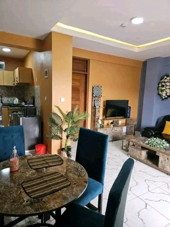 nyarutarama-fully-furnished-1bedroom-apartment-for-rent-at-500k-in-good-location-big-2