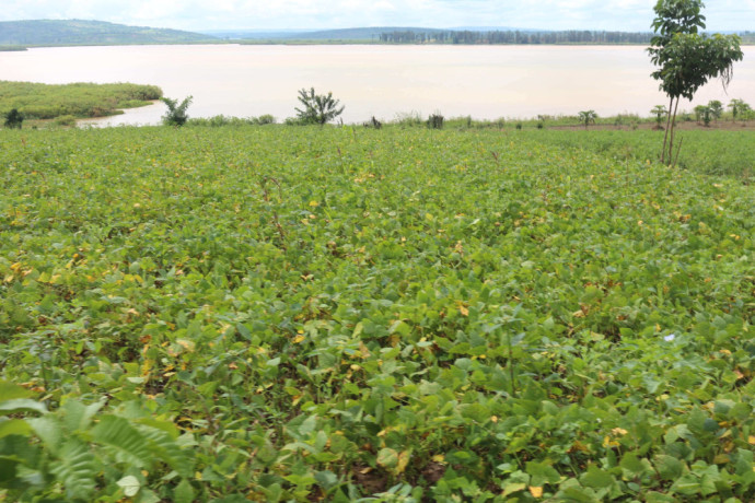 land-for-sale-in-bugesera-mwendo-rwanda-access-on-lake-big-1