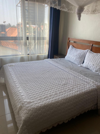 kigali-furnished-apartment-for-rent-in-kagarama-big-4