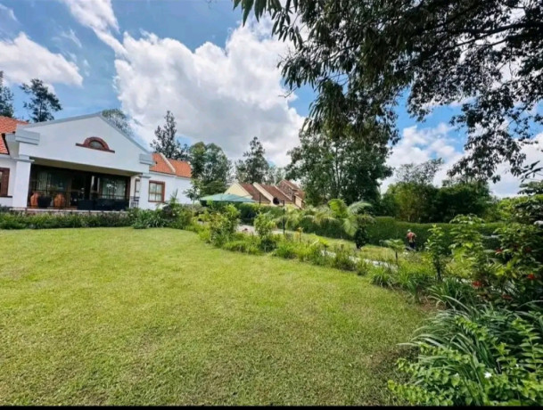 nice-full-furnished-house-for-rent-with-big-garden-at-gaposho-estate-big-8