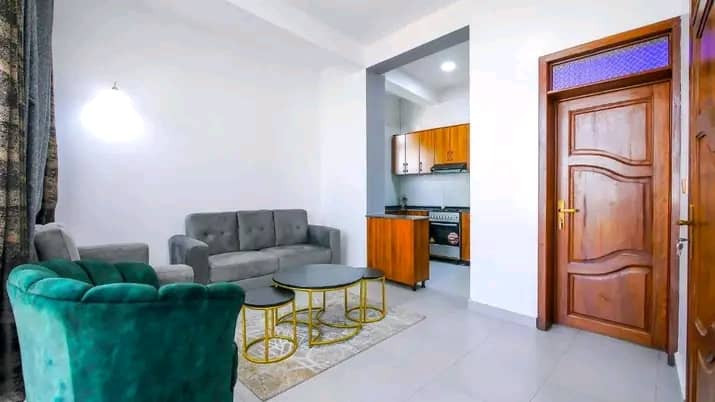 callwatsp-beautifulaffordable-fully-furnished-apartments-rent-at-kigali-kimisagara-big-12