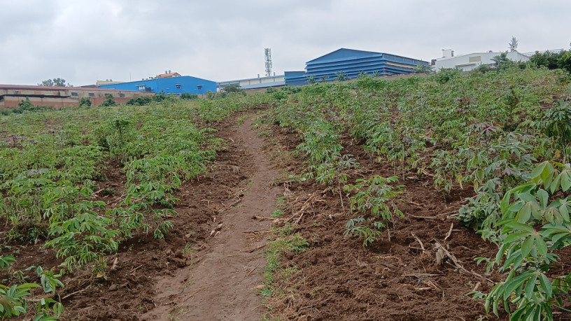 industrial-big-land-for-sale-at-masoro-big-3
