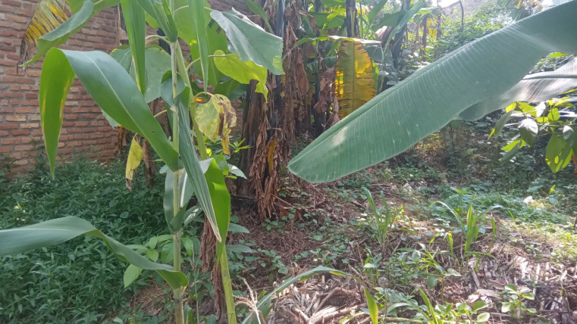 kigali-plot-for-sale-in-kinyinya-big-9