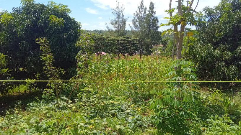 large-plot-for-sale-in-bugesera-big-7