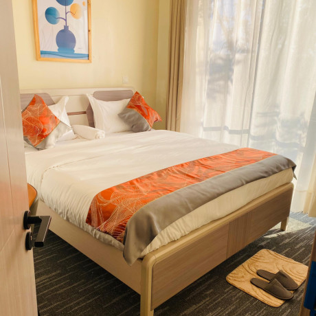 apartment-full-furnished-vip-for-rent-ndera-big-7