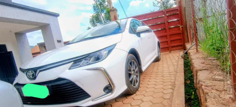 toyota-corolla-big-0