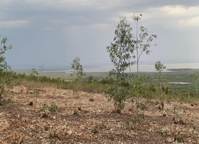 bugesera-plots-for-sale-in-kanzenze-big-6