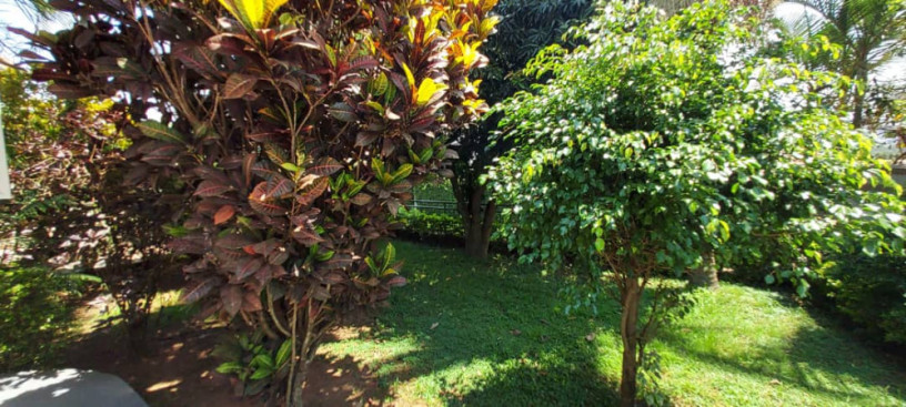 kigali-unfurnished-house-for-rent-in-niboyi-big-3