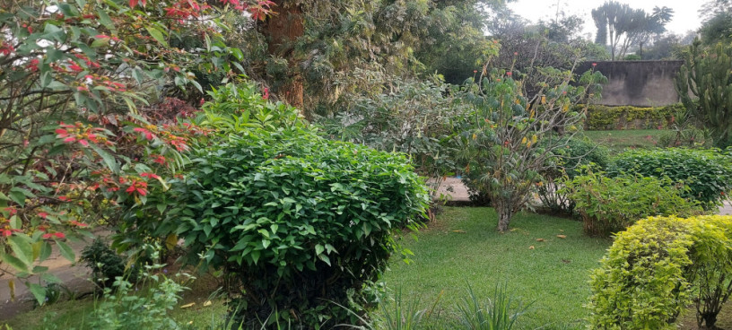 semi-furnished-bungalow-available-for-rent-at-kiyovu-big-1