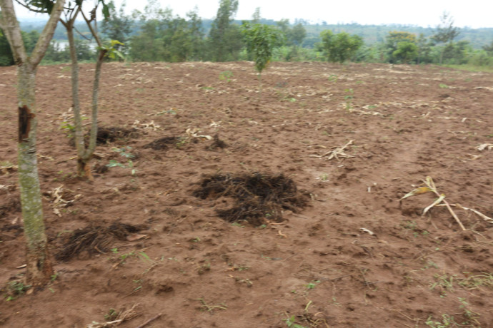 industrial-land-for-sale-in-gahanga-kigali-rwanda-big-1