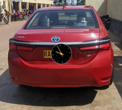 corolla-big-0