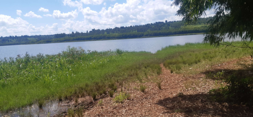 land-for-sale-in-bugesera-rilima-near-airport-of-rwanda-hot-deal-access-on-lake-big-0