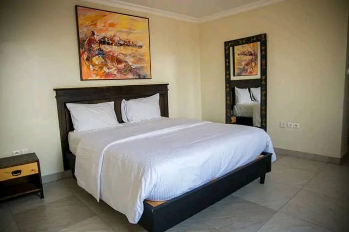 remera-close-to-rdb-very-nice-fully-furnished-apartments-for-rent-with-amazing-views-of-kigali-big-4