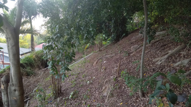 kigali-land-for-sale-in-kiyovu-big-6