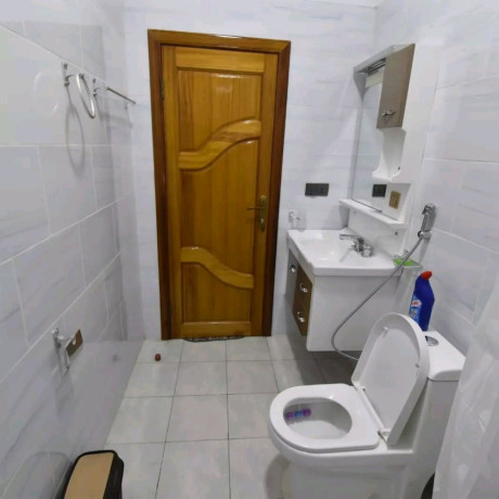 niboye-nice-fully-furnished-apartment-for-rent-in-kigali-big-5
