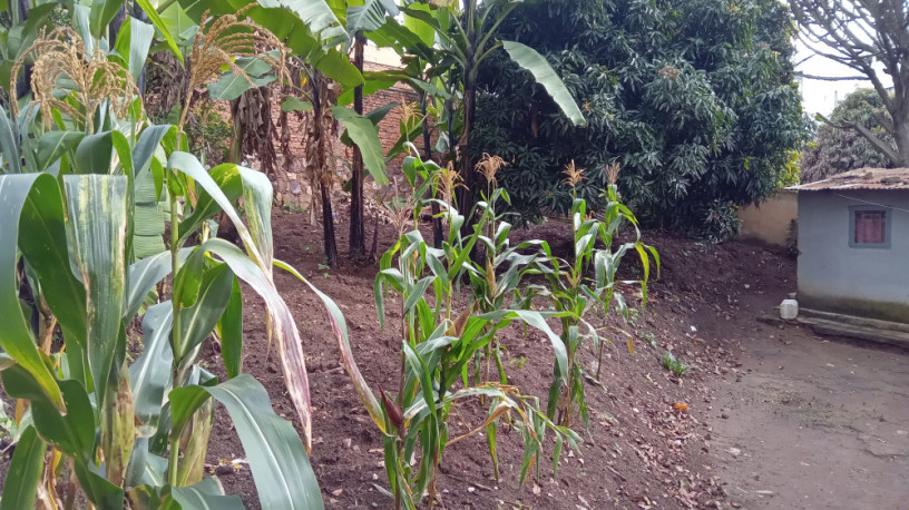 plot-for-sale-in-remera-big-11