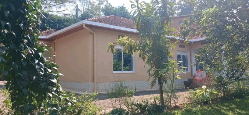 kigali-unfurnished-house-available-for-rent-in-kiyovu-big-1