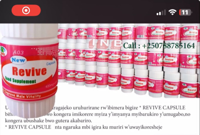 revive-capsule-big-1