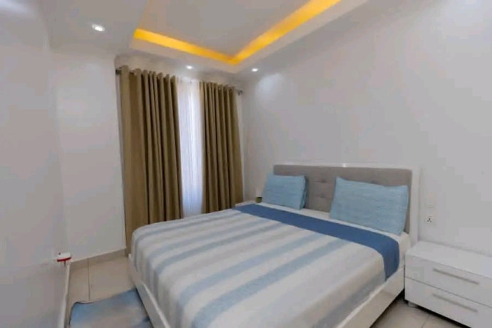 remera-fully-furnished-apartment-for-rent-in-kigali-big-2