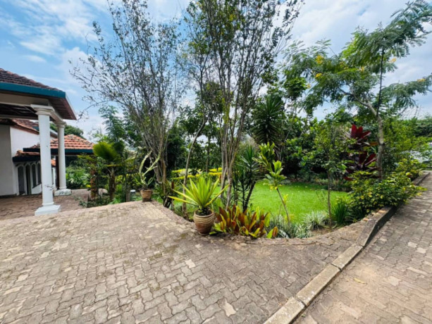 pool-house-available-for-rent-at-kacyiru-big-0