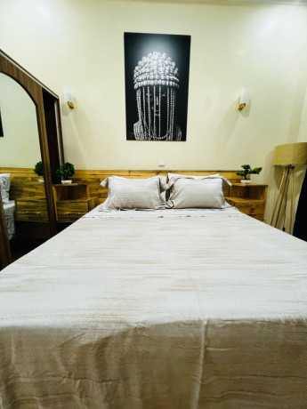 kanombe-fully-furnished-apartment-for-rent-in-kigali-big-5