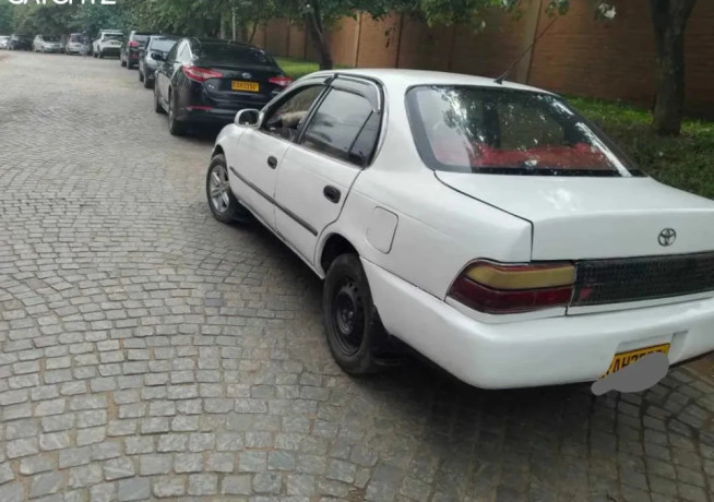 toyota-gikumi-big-2