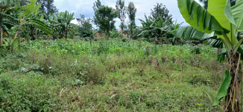 proparty-for-sale-in-rusosoro-big-3