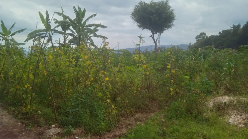 large-plot-for-sale-big-5