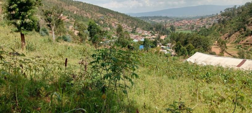 bumbogo-big-2
