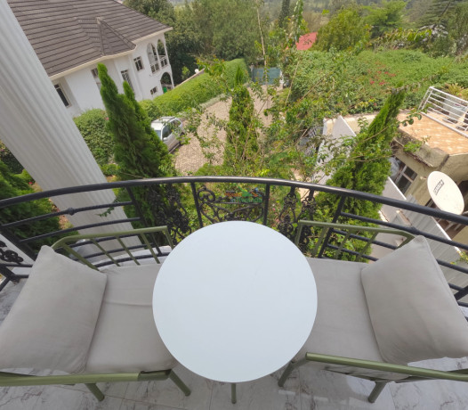 kigali-1-bedroom-apartment-for-rent-in-nyarutarama-big-9