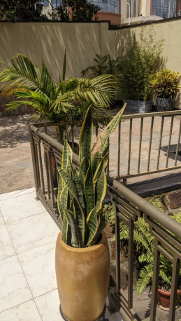 39-gishushu-very-beautiful-and-amazing-full-furnished-apartment-available-for-rent-call-or-whatsapp-big-0