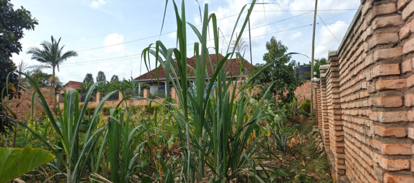 ikibanza-tugurisha-65m-gasogi-cyaruzinge-big-6