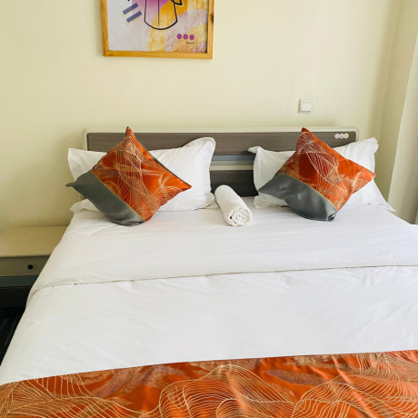 apartment-full-furnished-vip-for-rent-ndera-big-2