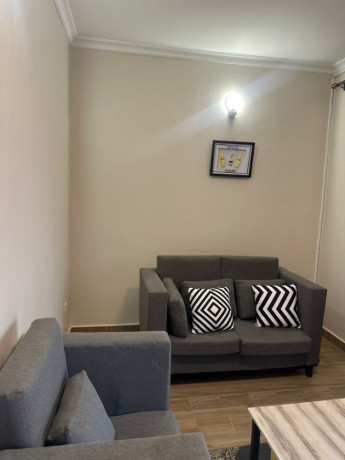 kimironko-near-market-1bed-furnished-apartment-for-rent-in-kigali-big-2
