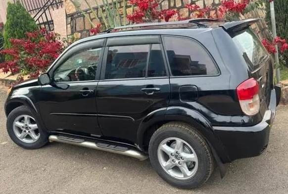 toyota-rav4-big-1