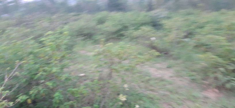 land-for-sale-in-gahanga-kigali-rwanda-in-ecotourism-and-hotel-big-1