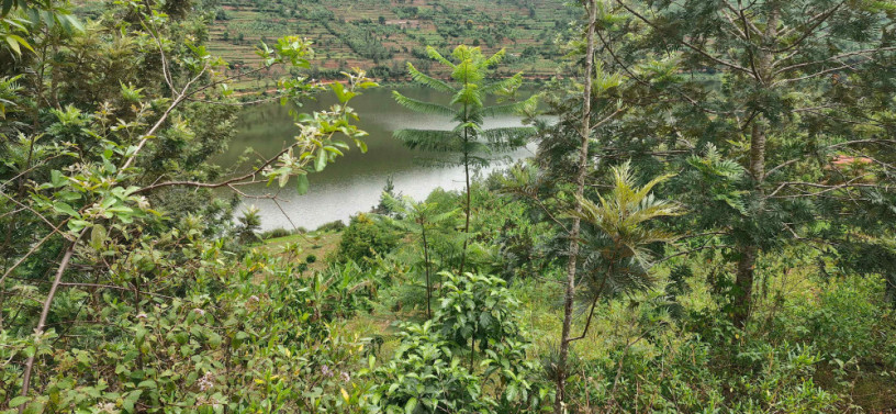 hotel-plot-for-sale-in-muhazi-lake-big-0