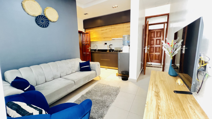 remera-near-bk-arena-1-bed-1bath-furnished-apartment-for-rent-in-kigali-big-3